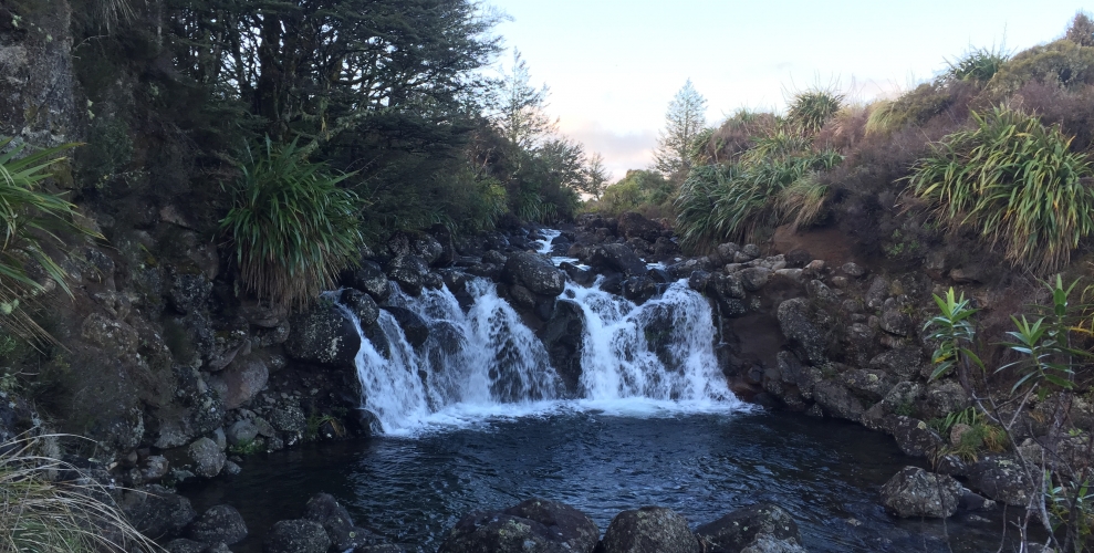 The Mahuia Rapids, part of the Pukeonaki Stream, fed by two volcanic complexes.